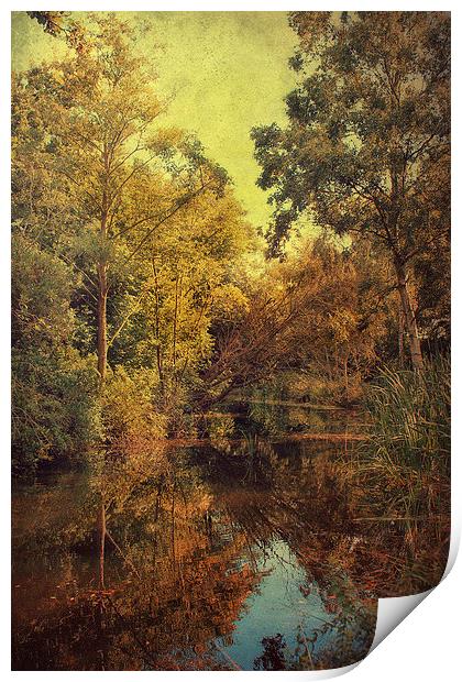 Beautiful Pond Print by Julie Coe