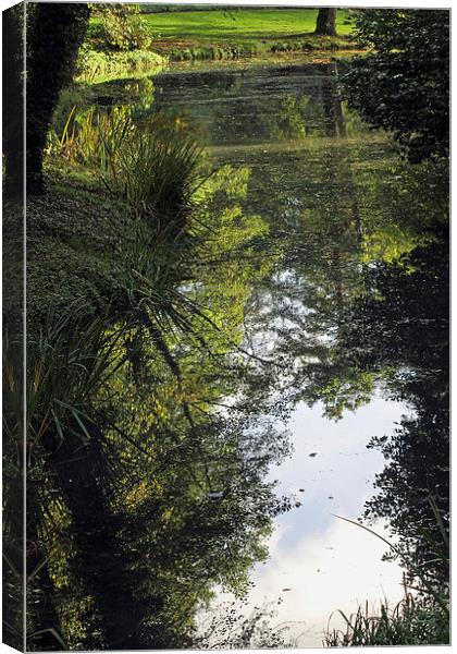 Reflections in a Lake Canvas Print by Tony Murtagh
