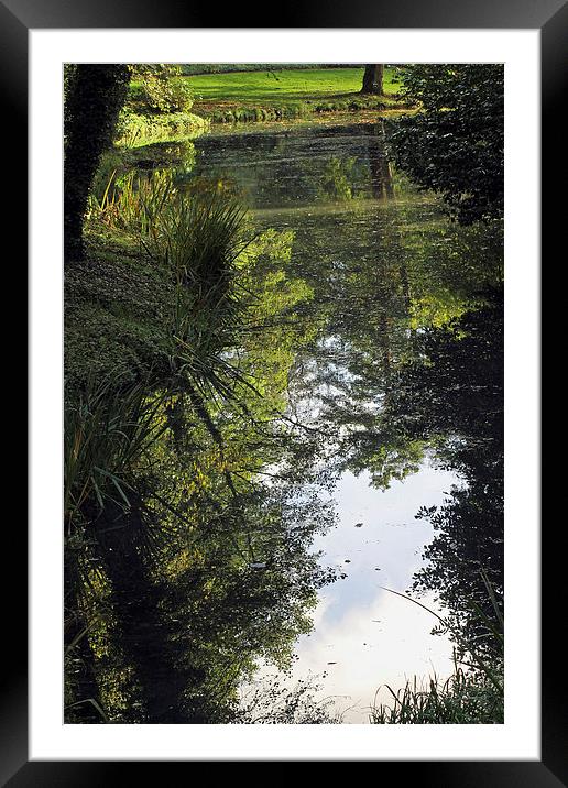 Reflections in a Lake Framed Mounted Print by Tony Murtagh