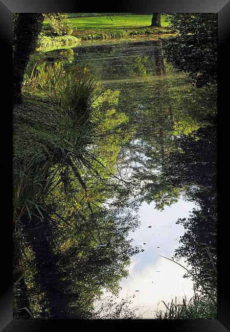 Reflections in a Lake Framed Print by Tony Murtagh