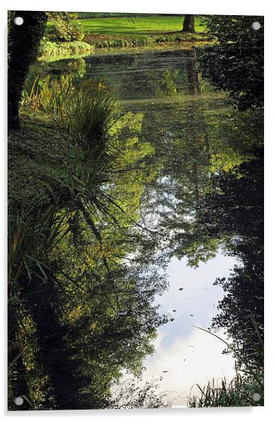 Reflections in a Lake Acrylic by Tony Murtagh