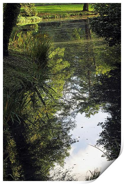 Reflections in a Lake Print by Tony Murtagh