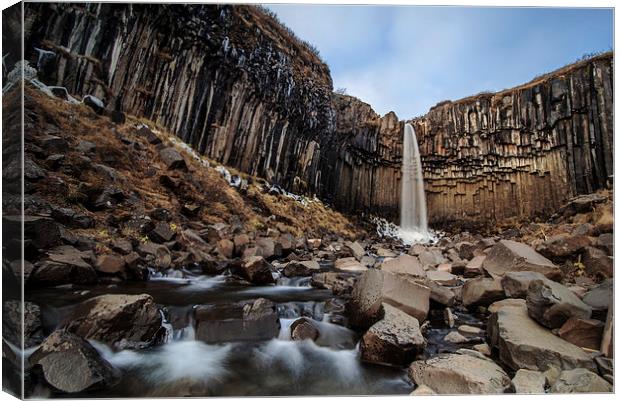 Skogafoss Canvas Print by Dave Wragg
