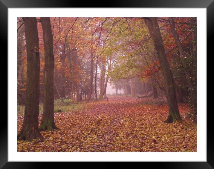 An Early Morning Stroll. Framed Mounted Print by Heather Goodwin