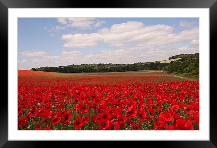 Red for Remembrance Framed Mounted Print by Dawn Cox