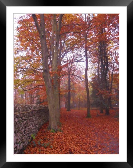 The Path Along the Wall. Framed Mounted Print by Heather Goodwin