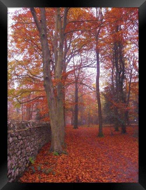 The Path Along the Wall. Framed Print by Heather Goodwin