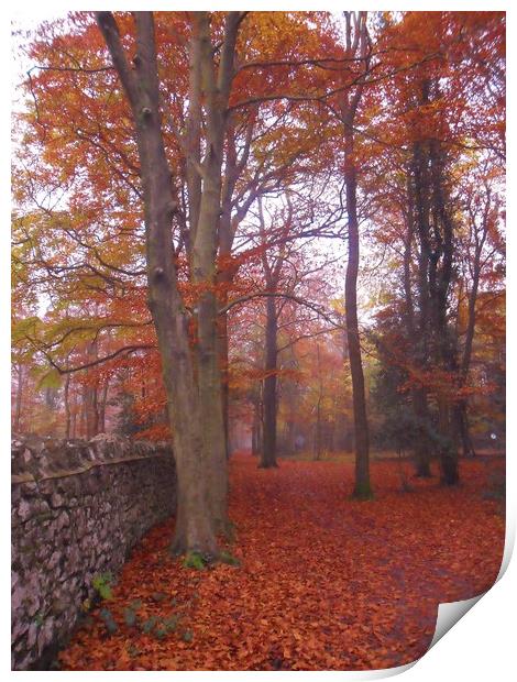 The Path Along the Wall. Print by Heather Goodwin