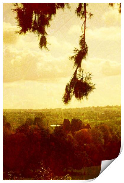 View from Ashton Court. Print by Heather Goodwin