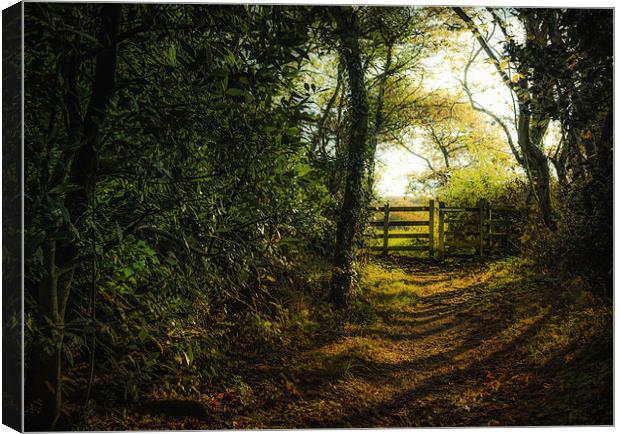 Gate in the Countryside during Winter Canvas Print by Ian Johnston  LRPS
