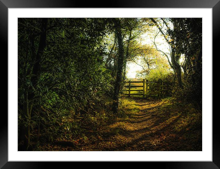 Gate in the Countryside during Winter Framed Mounted Print by Ian Johnston  LRPS