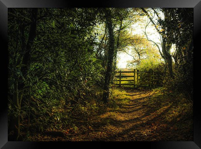 Gate in the Countryside during Winter Framed Print by Ian Johnston  LRPS