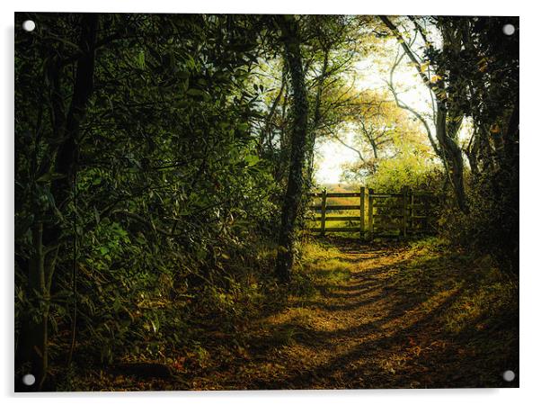 Gate in the Countryside during Winter Acrylic by Ian Johnston  LRPS