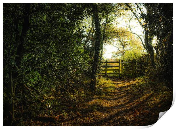 Gate in the Countryside during Winter Print by Ian Johnston  LRPS