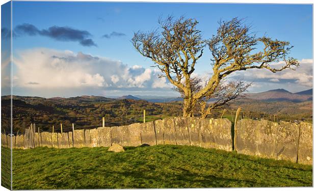 Slate fence Canvas Print by Rory Trappe