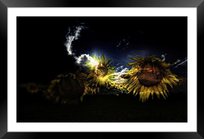 The Ghost of Summer Framed Mounted Print by Nigel Bangert