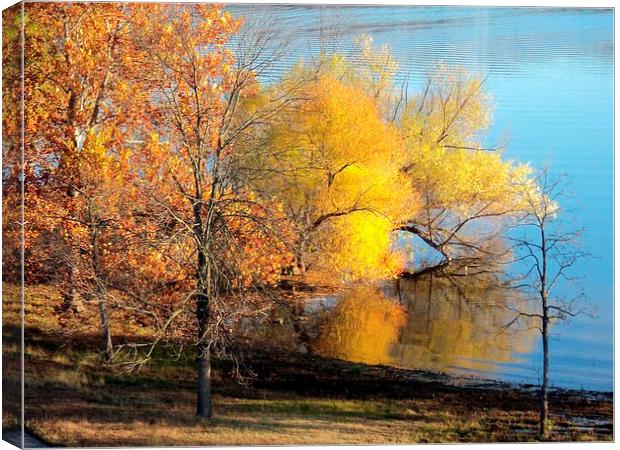 Trees at the Lake Canvas Print by Pics by Jody Adams