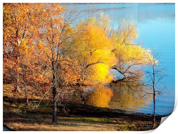 Trees at the Lake Print by Pics by Jody Adams