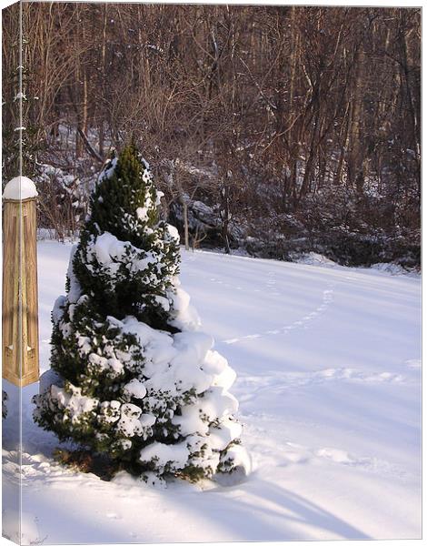 Snowscene Canvas Print by james balzano, jr.