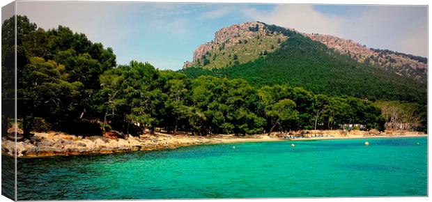 Formentor Bay Canvas Print by Louise Godwin