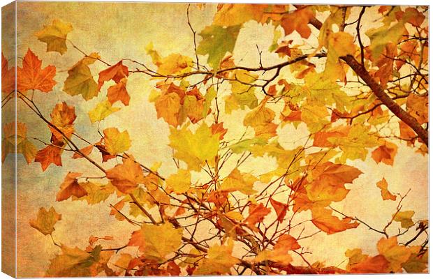 Autumn Leaves with Texture Effect Canvas Print by Natalie Kinnear