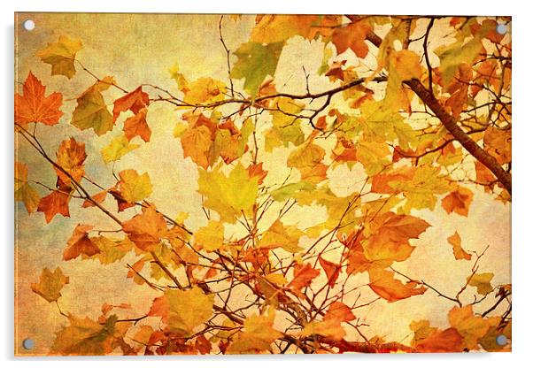 Autumn Leaves with Texture Effect Acrylic by Natalie Kinnear
