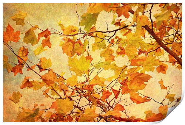 Autumn Leaves with Texture Effect Print by Natalie Kinnear