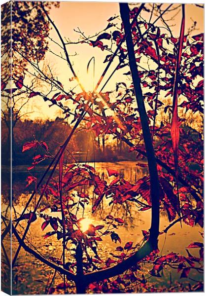 By the lake Canvas Print by Natalie Foskett