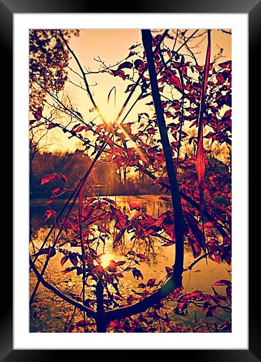 By the lake Framed Mounted Print by Natalie Foskett