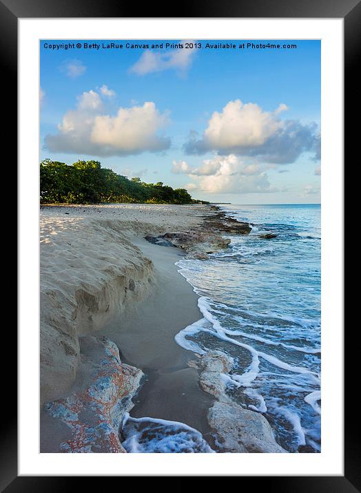 Tropical Eye Candy Framed Mounted Print by Betty LaRue