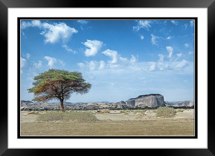 The Tree Framed Mounted Print by Art Magdaluyo