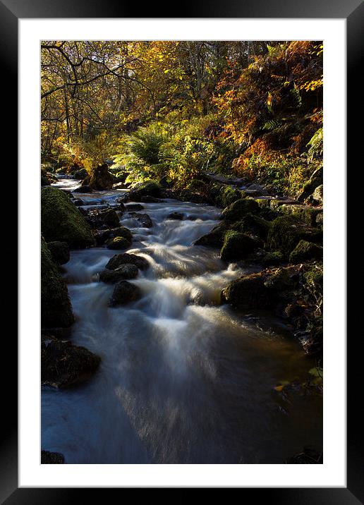Autumn on Wyming Brook I Framed Mounted Print by John Dunbar