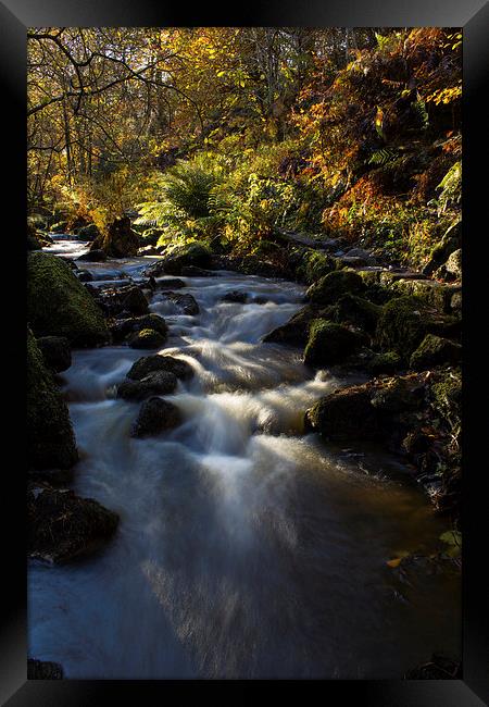 Autumn on Wyming Brook I Framed Print by John Dunbar