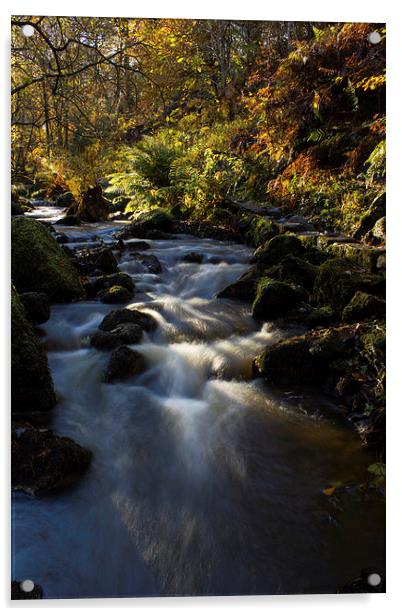 Autumn on Wyming Brook I Acrylic by John Dunbar