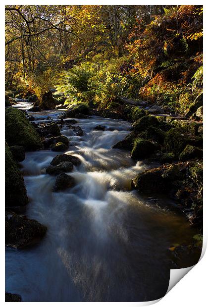 Autumn on Wyming Brook I Print by John Dunbar