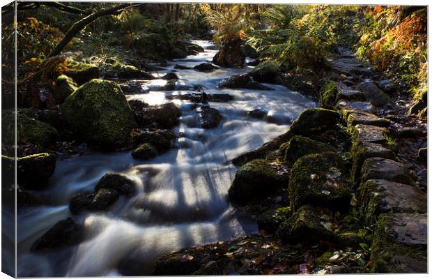 Autumn on Wyming Brook II Canvas Print by John Dunbar