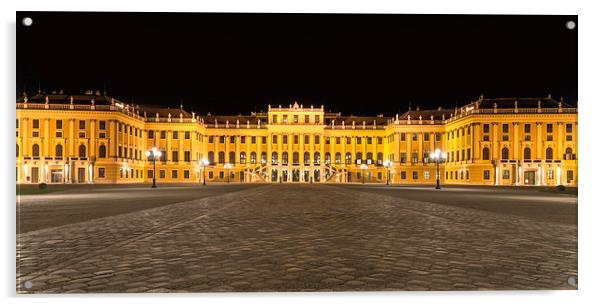 Schonbrunn palace at night Acrylic by Sergey Golotvin