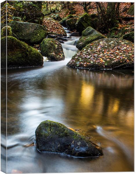 Autumn on Wyming Brook III Canvas Print by John Dunbar