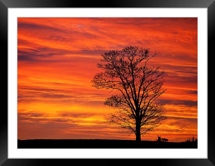Norfolk Sunrise Framed Mounted Print by Dave Turner