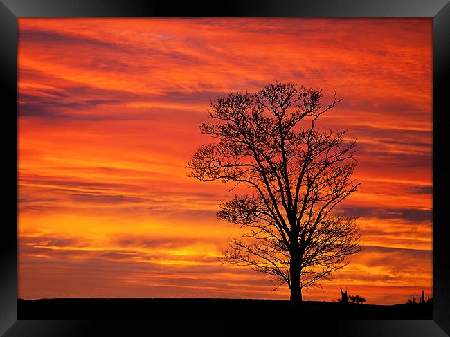 Norfolk Sunrise Framed Print by Dave Turner