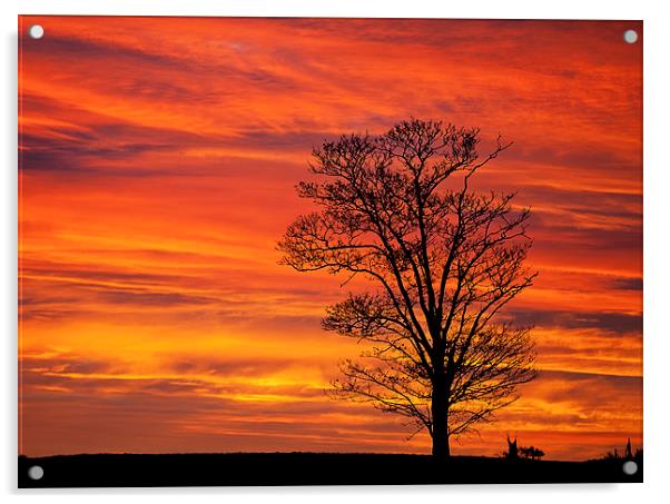 Norfolk Sunrise Acrylic by Dave Turner
