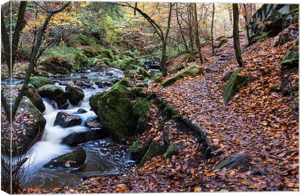 Autumn on Wyming Brook Trail Canvas Print by John Dunbar