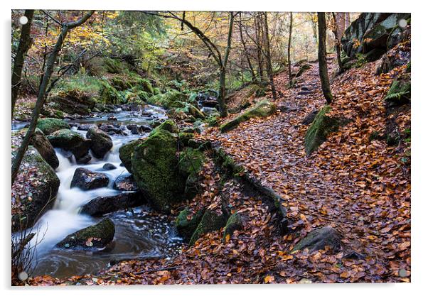 Autumn on Wyming Brook Trail Acrylic by John Dunbar