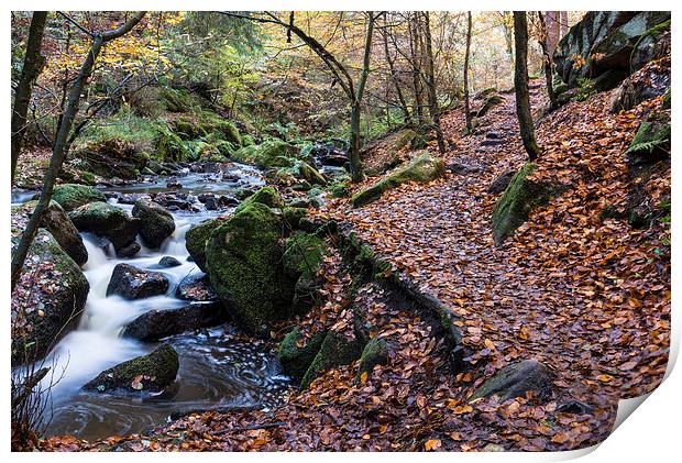 Autumn on Wyming Brook Trail Print by John Dunbar