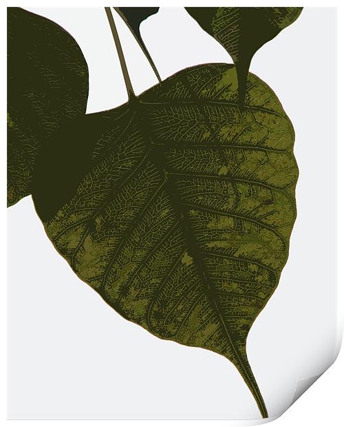 leaf lines Print by anurag gupta