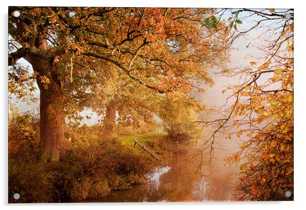 Shades of Autumn Acrylic by Dawn Cox