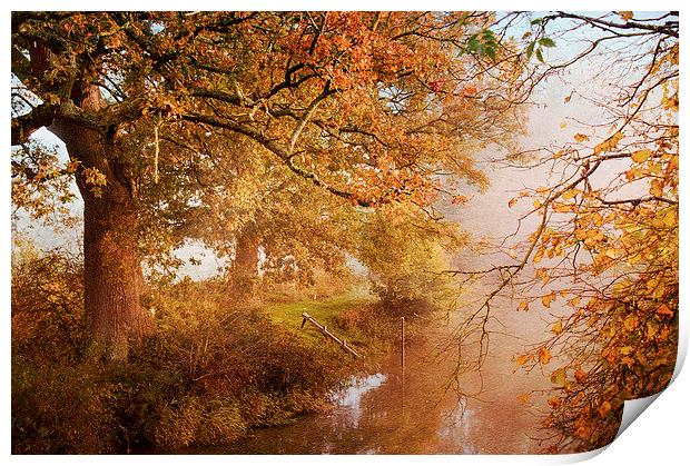 Shades of Autumn Print by Dawn Cox
