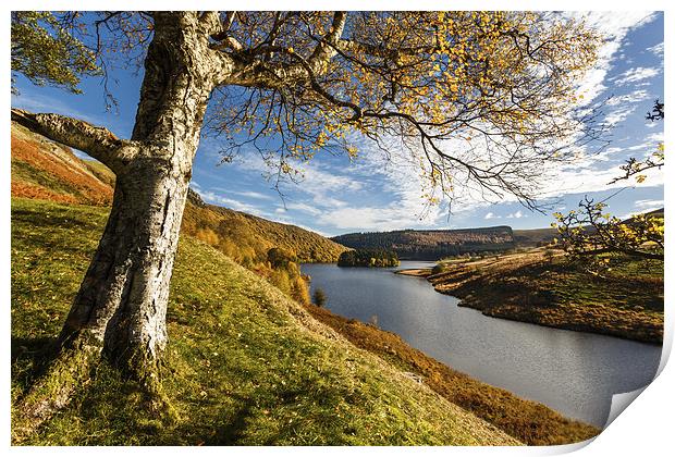 Elan Valley autumn view Print by Izzy Standbridge