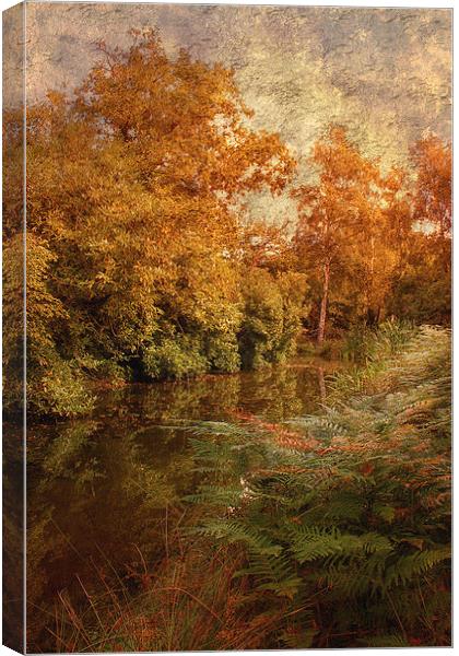 Autumn River Canvas Print by Julie Coe