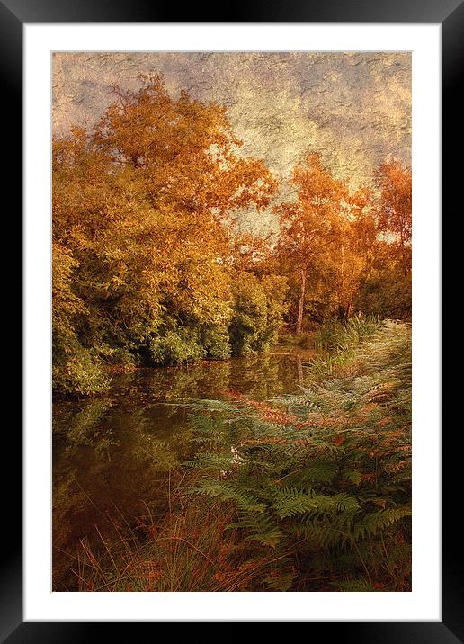 Autumn River Framed Mounted Print by Julie Coe